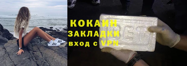 стаф Арсеньев
