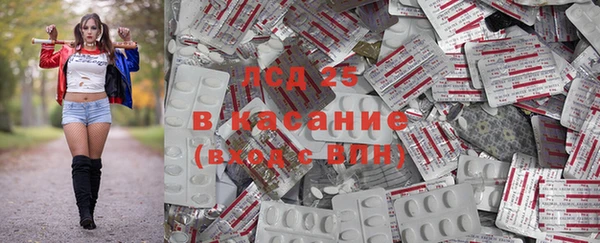 каннабис Аркадак